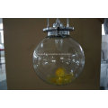 Graceful New Design Clear Glass Projection Light (Kam0327)